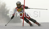Sanni Leinonen of Finland skiing in first run of Maribor women slalom race of Audi FIS Ski World Cup 2008-09. Slalom race of Women Audi FIS Ski World Cup 2008-09 was held in Maribor, Slovenia on Sunday, 11th of January 2009.
