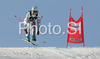 Marie Marchand-Arvier of France skiing in downhill of Zauchenee women super combined race of Audi FIS Ski World Cup 2008-09. Downhill part of super combined race of Women Audi FIS Ski World Cup 2008-09 was held in Zauchensee, Austria on Saturday, 17th of January 2009.
