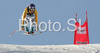 Maria Riesch of Germany skiing in downhill of Zauchenee women super combined race of Audi FIS Ski World Cup 2008-09. Downhill part of super combined race of Women Audi FIS Ski World Cup 2008-09 was held in Zauchensee, Austria on Saturday, 17th of January 2009.
