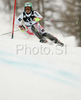 Sixth placed Anna Fenninger of Austria skiing in slalom of Zauchenee women super combined race of Audi FIS Ski World Cup 2008-09. Downhill part of super combined race of Women Audi FIS Ski World Cup 2008-09 was held in Zauchensee, Austria on Saturday, 17th of January 2009.
