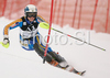 Jessica Lindell-Vikarby of Sweden skiing in slalom of Zauchenee women super combined race of Audi FIS Ski World Cup 2008-09. Downhill part of super combined race of Women Audi FIS Ski World Cup 2008-09 was held in Zauchensee, Austria on Saturday, 17th of January 2009.
