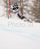 Second placed Kathrin Zettel of Austria skiing in slalom of Zauchenee women super combined race of Audi FIS Ski World Cup 2008-09. Downhill part of super combined race of Women Audi FIS Ski World Cup 2008-09 was held in Zauchensee, Austria on Saturday, 17th of January 2009.

