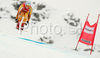 Fifth placed Emily Brydon of Canada skiing in Women downhill race of Zauchenee Audi FIS Ski World Cup 2008-09. Downhill race of Women Audi FIS Ski World Cup 2008-09 was held in Zauchensee, Austria on Sunday, 18th of January 2009.
