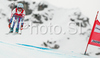 Fourth placed Marie Marchand-Arvier of France skiing in Women downhill race of Zauchenee Audi FIS Ski World Cup 2008-09. Downhill race of Women Audi FIS Ski World Cup 2008-09 was held in Zauchensee, Austria on Sunday, 18th of January 2009.

