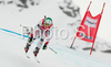 Eight placed Elisabeth Goergl of Austria skiing in Women downhill race of Zauchenee Audi FIS Ski World Cup 2008-09. Downhill race of Women Audi FIS Ski World Cup 2008-09 was held in Zauchensee, Austria on Sunday, 18th of January 2009.
