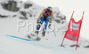 Winner Anja Paerson of Sweden skiing in Women downhill race of Zauchenee Audi FIS Ski World Cup 2008-09. Downhill race of Women Audi FIS Ski World Cup 2008-09 was held in Zauchensee, Austria on Sunday, 18th of January 2009.
