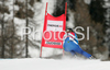 Winner Anja Paerson of Sweden skiing in Women downhill race of Zauchenee Audi FIS Ski World Cup 2008-09. Downhill race of Women Audi FIS Ski World Cup 2008-09 was held in Zauchensee, Austria on Sunday, 18th of January 2009.
