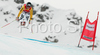 Gina Stechert of Germany skiing in Women downhill race of Zauchenee Audi FIS Ski World Cup 2008-09. Downhill race of Women Audi FIS Ski World Cup 2008-09 was held in Zauchensee, Austria on Sunday, 18th of January 2009.

