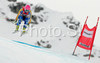 Nike Bent of Sweden skiing in Women downhill race of Zauchenee Audi FIS Ski World Cup 2008-09. Downhill race of Women Audi FIS Ski World Cup 2008-09 was held in Zauchensee, Austria on Sunday, 18th of January 2009.
