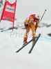 Larisa Yurkiw of Canada skiing in Women downhill race of Zauchenee Audi FIS Ski World Cup 2008-09. Downhill race of Women Audi FIS Ski World Cup 2008-09 was held in Zauchensee, Austria on Sunday, 18th of January 2009.
