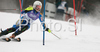 Frida Hansdotter of Sweden skiing in first run of Women slalom race of Garmisch-Partenkirchen Audi FIS Ski World Cup 2008-09. Garmisch-Partenkirchen slalom Women Audi FIS Ski World Cup 2008-09 was held in Garmisch-Partenkirchen on Friday, 30th of January 2009.

