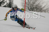Therese Borssen of Sweden skiing in first run of Women slalom race of Garmisch-Partenkirchen Audi FIS Ski World Cup 2008-09. Garmisch-Partenkirchen slalom Women Audi FIS Ski World Cup 2008-09 was held in Garmisch-Partenkirchen on Friday, 30th of January 2009.

