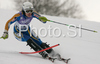 Therese Borssen of Sweden skiing in first run of Women slalom race of Garmisch-Partenkirchen Audi FIS Ski World Cup 2008-09. Garmisch-Partenkirchen slalom Women Audi FIS Ski World Cup 2008-09 was held in Garmisch-Partenkirchen on Friday, 30th of January 2009.
