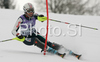 Manuela Moelgg of Italy skiing in first run of Women slalom race of Garmisch-Partenkirchen Audi FIS Ski World Cup 2008-09. Garmisch-Partenkirchen slalom Women Audi FIS Ski World Cup 2008-09 was held in Garmisch-Partenkirchen on Friday, 30th of January 2009.
