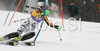 Kathrin Hoelzl of Germany skiing in first run of Women slalom race of Garmisch-Partenkirchen Audi FIS Ski World Cup 2008-09. Garmisch-Partenkirchen slalom Women Audi FIS Ski World Cup 2008-09 was held in Garmisch-Partenkirchen on Friday, 30th of January 2009.
