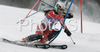 Sanni Leinonen of Finland skiing in first run of Women slalom race of Garmisch-Partenkirchen Audi FIS Ski World Cup 2008-09. Garmisch-Partenkirchen slalom Women Audi FIS Ski World Cup 2008-09 was held in Garmisch-Partenkirchen on Friday, 30th of January 2009.
