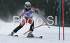 Tii-Maria Romar of Finland skiing in first run of Women slalom race of Garmisch-Partenkirchen Audi FIS Ski World Cup 2008-09. Garmisch-Partenkirchen slalom Women Audi FIS Ski World Cup 2008-09 was held in Garmisch-Partenkirchen on Friday, 30th of January 2009.
