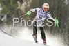 Simone Streng of Austria skiing in first run of Women slalom race of Garmisch-Partenkirchen Audi FIS Ski World Cup 2008-09. Garmisch-Partenkirchen slalom Women Audi FIS Ski World Cup 2008-09 was held in Garmisch-Partenkirchen on Friday, 30th of January 2009.
