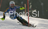 Frida Hansdotter of Sweden skiing in second run of Women slalom race of Garmisch-Partenkirchen Audi FIS Ski World Cup 2008-09. Garmisch-Partenkirchen slalom Women Audi FIS Ski World Cup 2008-09 was held in Garmisch-Partenkirchen on Friday, 30th of January 2009.

