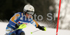 Mattias Hargin of Sweden skiing in first run of Men slalom race of Garmisch-Partenkirchen Audi FIS Ski World Cup 2008-09. Garmisch-Partenkirchen slalom Men Audi FIS Ski World Cup 2008-09 was held in Garmisch-Partenkirchen on Sunday, 1st of February 2009.
