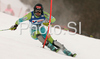 Mitja Valencic of Slovenia skiing in first run of Men slalom race of Garmisch-Partenkirchen Audi FIS Ski World Cup 2008-09. Garmisch-Partenkirchen slalom Men Audi FIS Ski World Cup 2008-09 was held in Garmisch-Partenkirchen on Sunday, 1st of February 2009.
