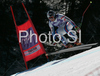 Marion Rolland of France skiing in downhill part of Women Super combined race of Tarvisio Audi FIS Ski World Cup 2008-09. Super combined race of Women Audi FIS Ski World Cup 2008-09 was held in Tarvisio, Italy on Friday, 20th of February 2009.
