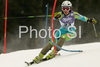 Mateja Robnik of Slovenia skiing in slalom part of Women Super combined race of Tarvisio Audi FIS Ski World Cup 2008-09. Super combined race of Women Audi FIS Ski World Cup 2008-09 was held in Tarvisio, Italy on Friday, 20th of February 2009.
