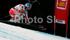 Andrea Fischbacher of Austria skiing in Women Downhill race of Tarvisio Audi FIS Ski World Cup 2008-09. Downhill race of Women Audi FIS Ski World Cup 2008-09 was held in Tarvisio, Italy on Saturdayday, 21st of February 2009.
