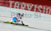 Elena Prosteva of Russia skiing in Women Downhill race of Tarvisio Audi FIS Ski World Cup 2008-09. Downhill race of Women Audi FIS Ski World Cup 2008-09 was held in Tarvisio, Italy on Saturdayday, 21st of February 2009.

