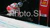 Andrea Fischbacher of Austria skiing in Women Downhill race of Tarvisio Audi FIS Ski World Cup 2008-09. Downhill race of Women Audi FIS Ski World Cup 2008-09 was held in Tarvisio, Italy on Saturdayday, 21st of February 2009.
