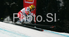 Sixth placed Renate Goetschl of Austria skiing in Women Downhill race of Tarvisio Audi FIS Ski World Cup 2008-09. Downhill race of Women Audi FIS Ski World Cup 2008-09 was held in Tarvisio, Italy on Saturdayday, 21st of February 2009.
