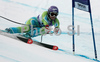 Third placed Tina Maze of Slovenia skiing in Women Super-G race of Tarvisio Audi FIS Ski World Cup 2008-09. Downhill race of Women Audi FIS Ski World Cup 2008-09 was held in Tarvisio, Italy on Sunday, 22nd of February 2009.
