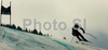 Stacey Cook of USA skiing in Women Super-G race of Tarvisio Audi FIS Ski World Cup 2008-09. Downhill race of Women Audi FIS Ski World Cup 2008-09 was held in Tarvisio, Italy on Sunday, 22nd of February 2009.
