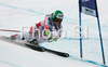 Eight placed Anna Fenninger of Austria skiing in Women Super-G race of Tarvisio Audi FIS Ski World Cup 2008-09. Downhill race of Women Audi FIS Ski World Cup 2008-09 was held in Tarvisio, Italy on Sunday, 22nd of February 2009.
