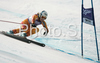 Seventh placed Kelly Vanderbeek of Canada skiing in Women Super-G race of Tarvisio Audi FIS Ski World Cup 2008-09. Downhill race of Women Audi FIS Ski World Cup 2008-09 was held in Tarvisio, Italy on Sunday, 22nd of February 2009.
