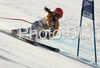Nicola Schmid of Germany skiing in Women Super-G race of Tarvisio Audi FIS Ski World Cup 2008-09. Downhill race of Women Audi FIS Ski World Cup 2008-09 was held in Tarvisio, Italy on Sunday, 22nd of February 2009.
