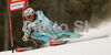 Aksel Lund Svindal of Norway skiing in first run of Men giant slalom race of Kranjska Gora Audi FIS Ski World Cup 2008-09. Giant slalom race of Men Audi FIS Ski World Cup 2008-09 was held in Kranjska Gora, Slovenia, on Saturday, 28th of February 2009.
