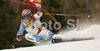Leader after first run Didier Cuche of Switzerland skiing in first run of Men giant slalom race of Kranjska Gora Audi FIS Ski World Cup 2008-09. Giant slalom race of Men Audi FIS Ski World Cup 2008-09 was held in Kranjska Gora, Slovenia, on Saturday, 28th of February 2009.

