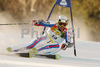 Joel Chenal of France skiing in first run of Men giant slalom race of Kranjska Gora Audi FIS Ski World Cup 2008-09. Giant slalom race of Men Audi FIS Ski World Cup 2008-09 was held in Kranjska Gora, Slovenia, on Saturday, 28th of February 2009.
