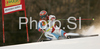 Leader after first run Didier Cuche of Switzerland skiing in first run of Men giant slalom race of Kranjska Gora Audi FIS Ski World Cup 2008-09. Giant slalom race of Men Audi FIS Ski World Cup 2008-09 was held in Kranjska Gora, Slovenia, on Saturday, 28th of February 2009.
