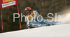 Second after first run Massimiliano Blardone of Italy skiing in first run of Men giant slalom race of Kranjska Gora Audi FIS Ski World Cup 2008-09. Giant slalom race of Men Audi FIS Ski World Cup 2008-09 was held in Kranjska Gora, Slovenia, on Saturday, 28th of February 2009.
