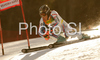 Victor Muffat Jeandet of France skiing in first run of Men giant slalom race of Kranjska Gora Audi FIS Ski World Cup 2008-09. Giant slalom race of Men Audi FIS Ski World Cup 2008-09 was held in Kranjska Gora, Slovenia, on Saturday, 28th of February 2009.
