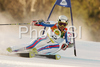 Joel Chenal of France skiing in first run of Men giant slalom race of Kranjska Gora Audi FIS Ski World Cup 2008-09. Giant slalom race of Men Audi FIS Ski World Cup 2008-09 was held in Kranjska Gora, Slovenia, on Saturday, 28th of February 2009.
