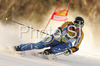 Andre Myhrer of Sweden skiing in first run of Men giant slalom race of Kranjska Gora Audi FIS Ski World Cup 2008-09. Giant slalom race of Men Audi FIS Ski World Cup 2008-09 was held in Kranjska Gora, Slovenia, on Saturday, 28th of February 2009.
