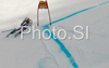 Fifth placed Steve Missillier of France skiing in second run of Men giant slalom race of Kranjska Gora Audi FIS Ski World Cup 2008-09. Giant slalom race of Men Audi FIS Ski World Cup 2008-09 was held in Kranjska Gora, Slovenia, on Saturday, 28th of February 2009.
