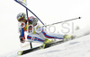 Joel Chenal of France skiing in second run of Men giant slalom race of Kranjska Gora Audi FIS Ski World Cup 2008-09. Giant slalom race of Men Audi FIS Ski World Cup 2008-09 was held in Kranjska Gora, Slovenia, on Saturday, 28th of February 2009.
