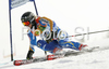 Matts Olsson of Sweden skiing in second run of Men giant slalom race of Kranjska Gora Audi FIS Ski World Cup 2008-09. Giant slalom race of Men Audi FIS Ski World Cup 2008-09 was held in Kranjska Gora, Slovenia, on Saturday, 28th of February 2009.
