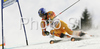 Seventh placed Jean-Philippe Roy of Canada skiing in second run of Men giant slalom race of Kranjska Gora Audi FIS Ski World Cup 2008-09. Giant slalom race of Men Audi FIS Ski World Cup 2008-09 was held in Kranjska Gora, Slovenia, on Saturday, 28th of February 2009.
