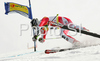 Marcel Hirscher of Austria skiing in second run of Men giant slalom race of Kranjska Gora Audi FIS Ski World Cup 2008-09. Giant slalom race of Men Audi FIS Ski World Cup 2008-09 was held in Kranjska Gora, Slovenia, on Saturday, 28th of February 2009.
