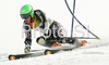 Winner Ted Ligety of USA skiing in second run of Men giant slalom race of Kranjska Gora Audi FIS Ski World Cup 2008-09. Giant slalom race of Men Audi FIS Ski World Cup 2008-09 was held in Kranjska Gora, Slovenia, on Saturday, 28th of February 2009.
